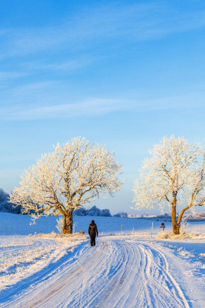 行走在雪地中的人