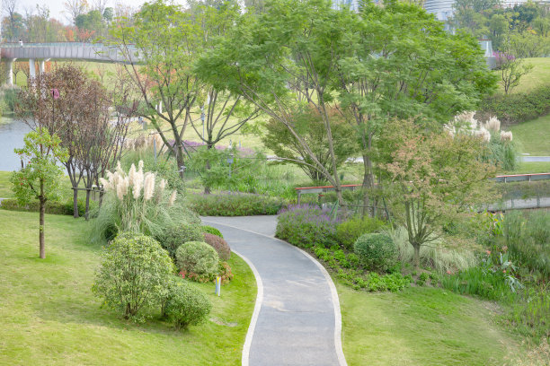 城市天际线,交通堵塞,都市风景