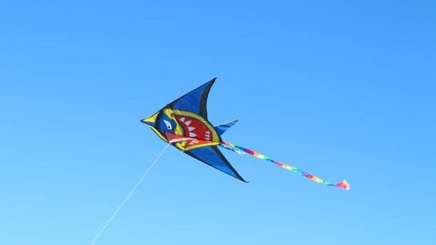 kite