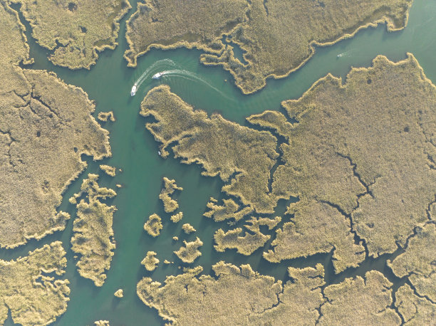 delta