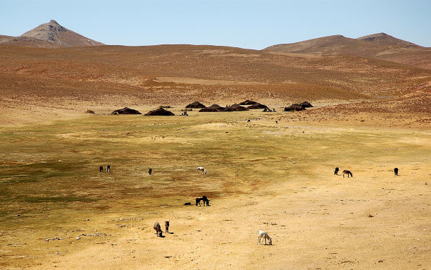 desolate