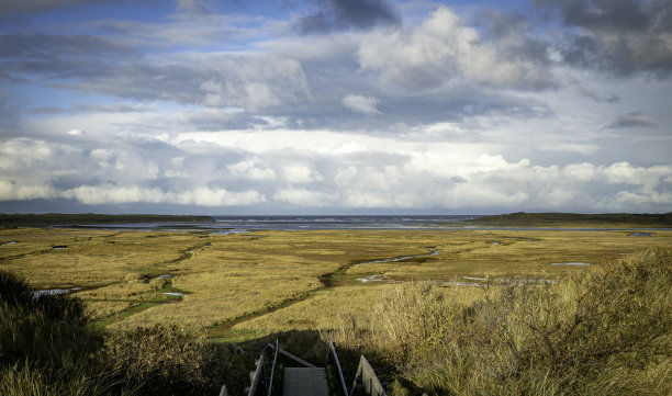 _texel