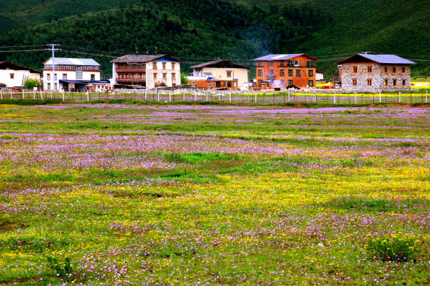 草原上藏族村落
