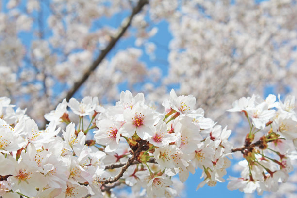 april