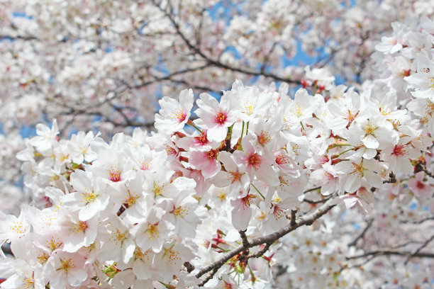 april