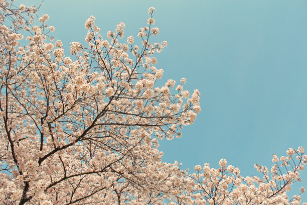 april