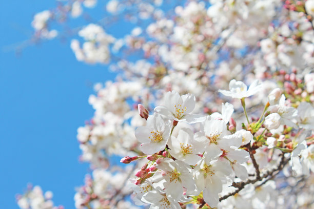 april