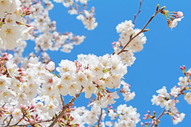 april