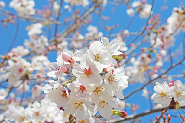 april