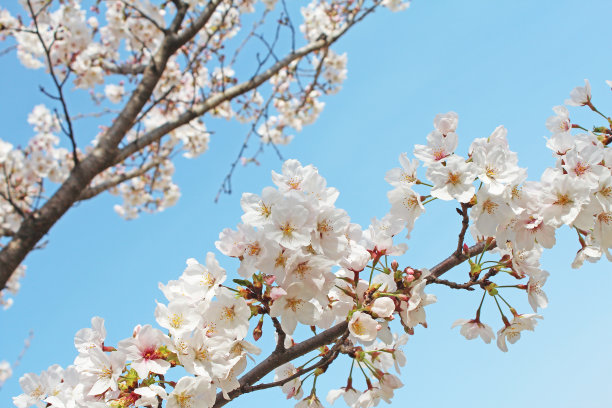 april