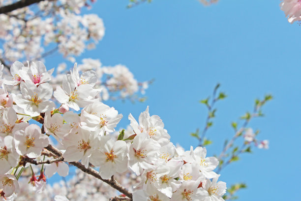 april