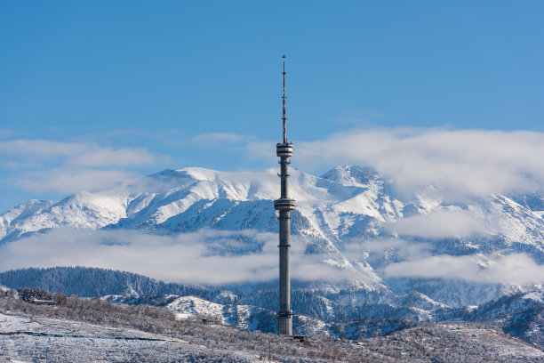 cis