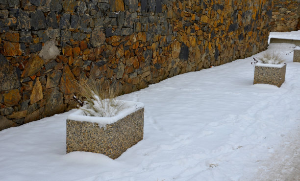 广场积雪草坪