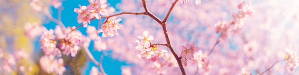 april