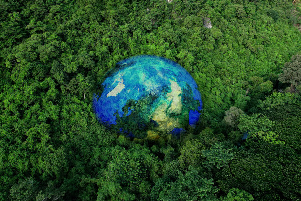 ecosystem