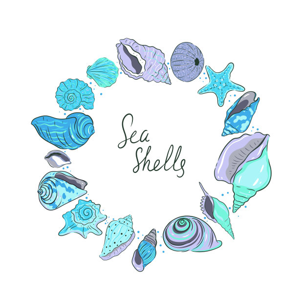 seashell