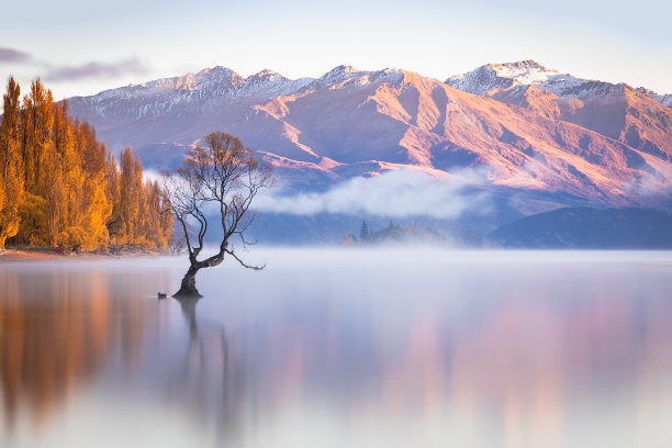 wanaka