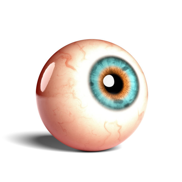retina