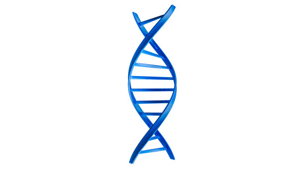 gene