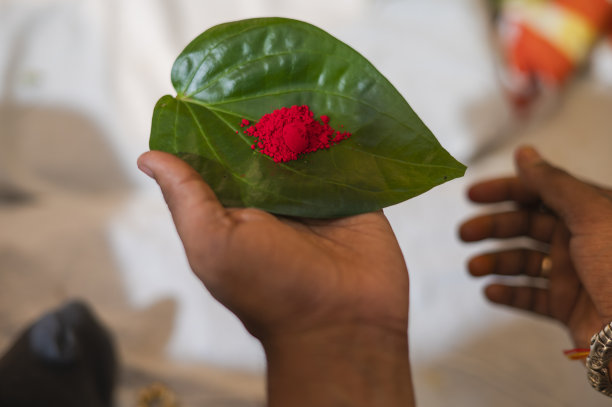 mehndi