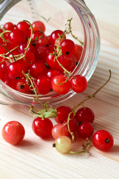 redcurrant