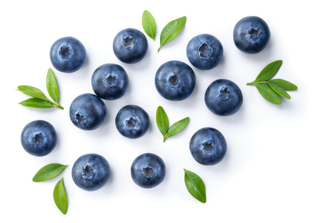 ericaceae