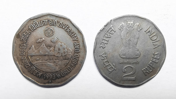 世界粮食日宣传