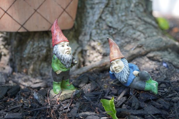 gnome