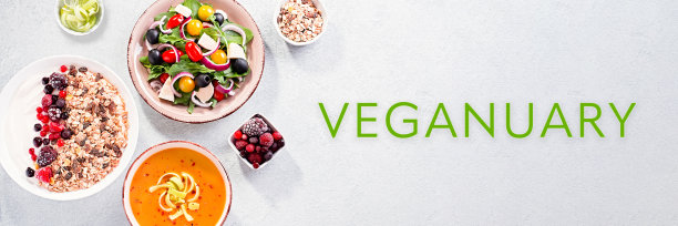 vegetarian