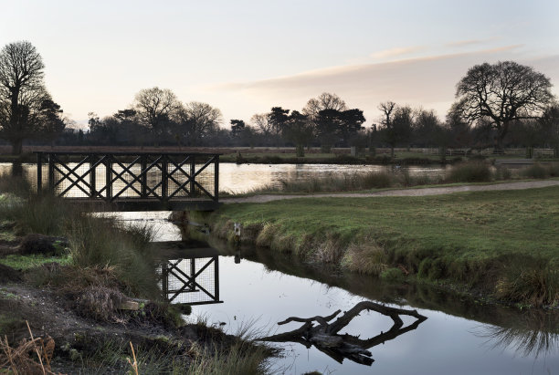 surrey