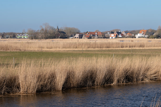 _texel