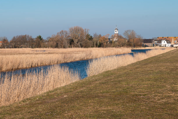 _texel