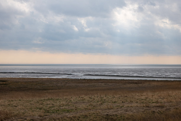 _texel