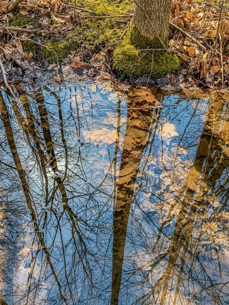 backwater