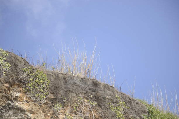 峡谷风光峭壁绿植蓝天