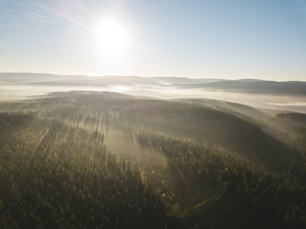sunbeams