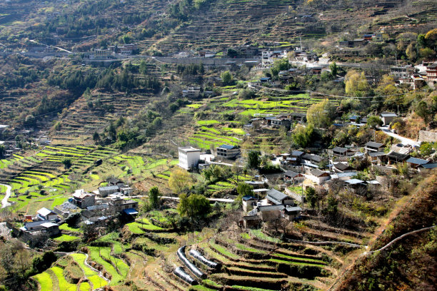 虎跳峡风光壁纸