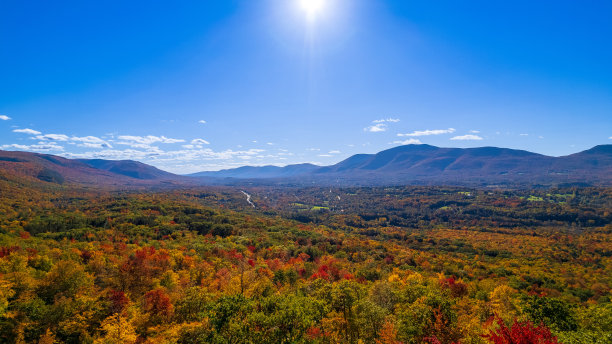 vt