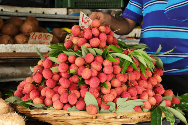 vendor