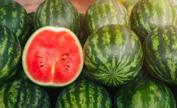 watermelon