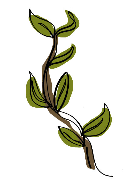 flora