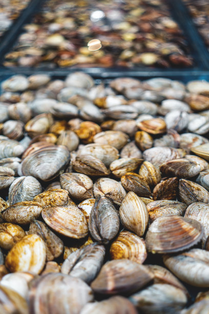 mussels