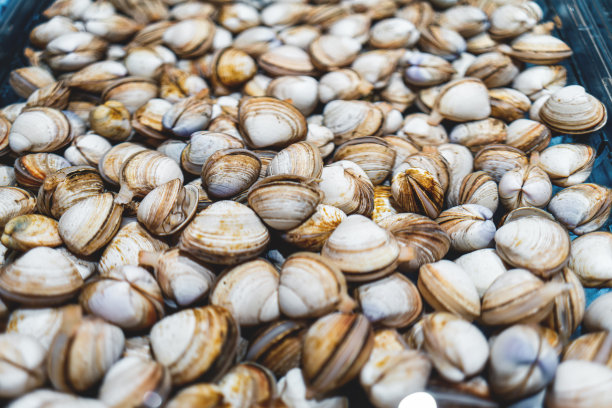 mussels