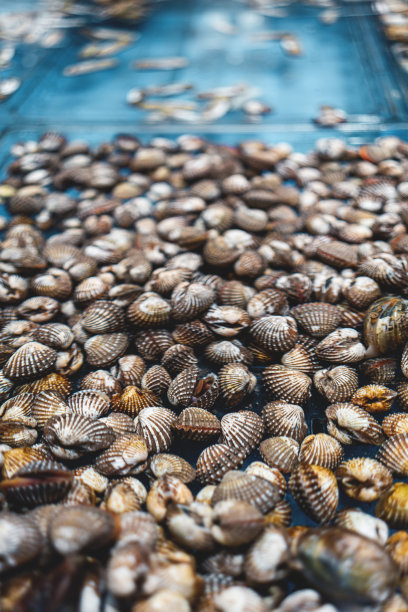 mussels