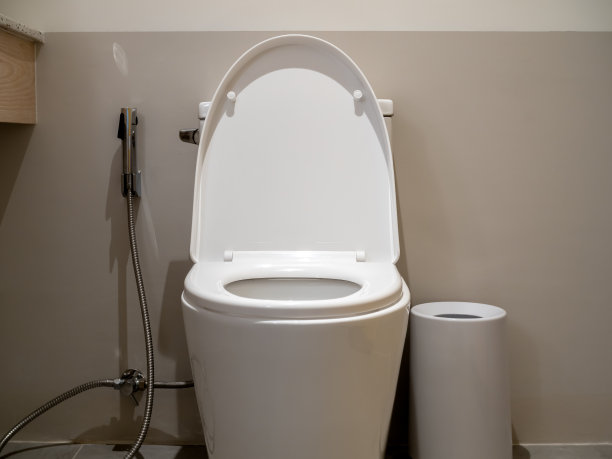 bidet