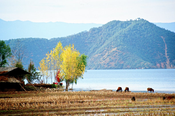 泸沽湖风景摄影图