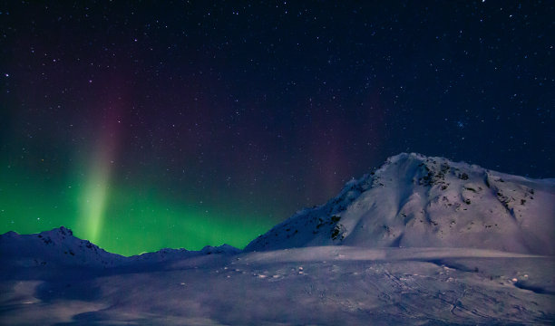 arctic