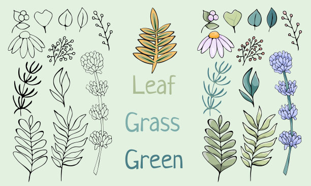 vegetation