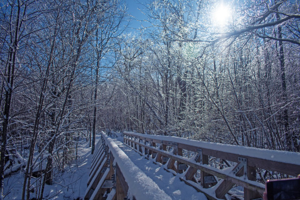 shenandoah
