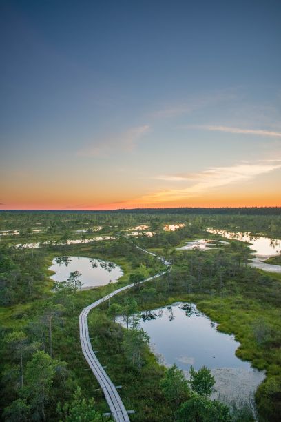 wetland
